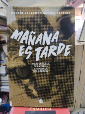 Mañana Es Tarde - Martin Otheguy