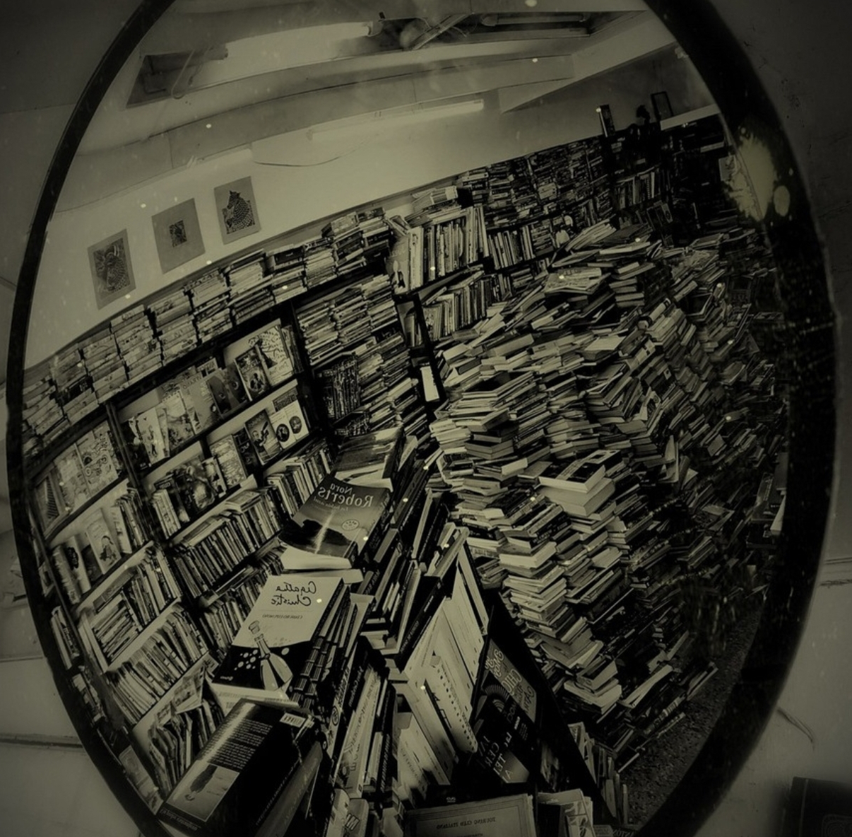 WhatsApp Image 2026-04-16 at 2.51.33 p. mrecortada.