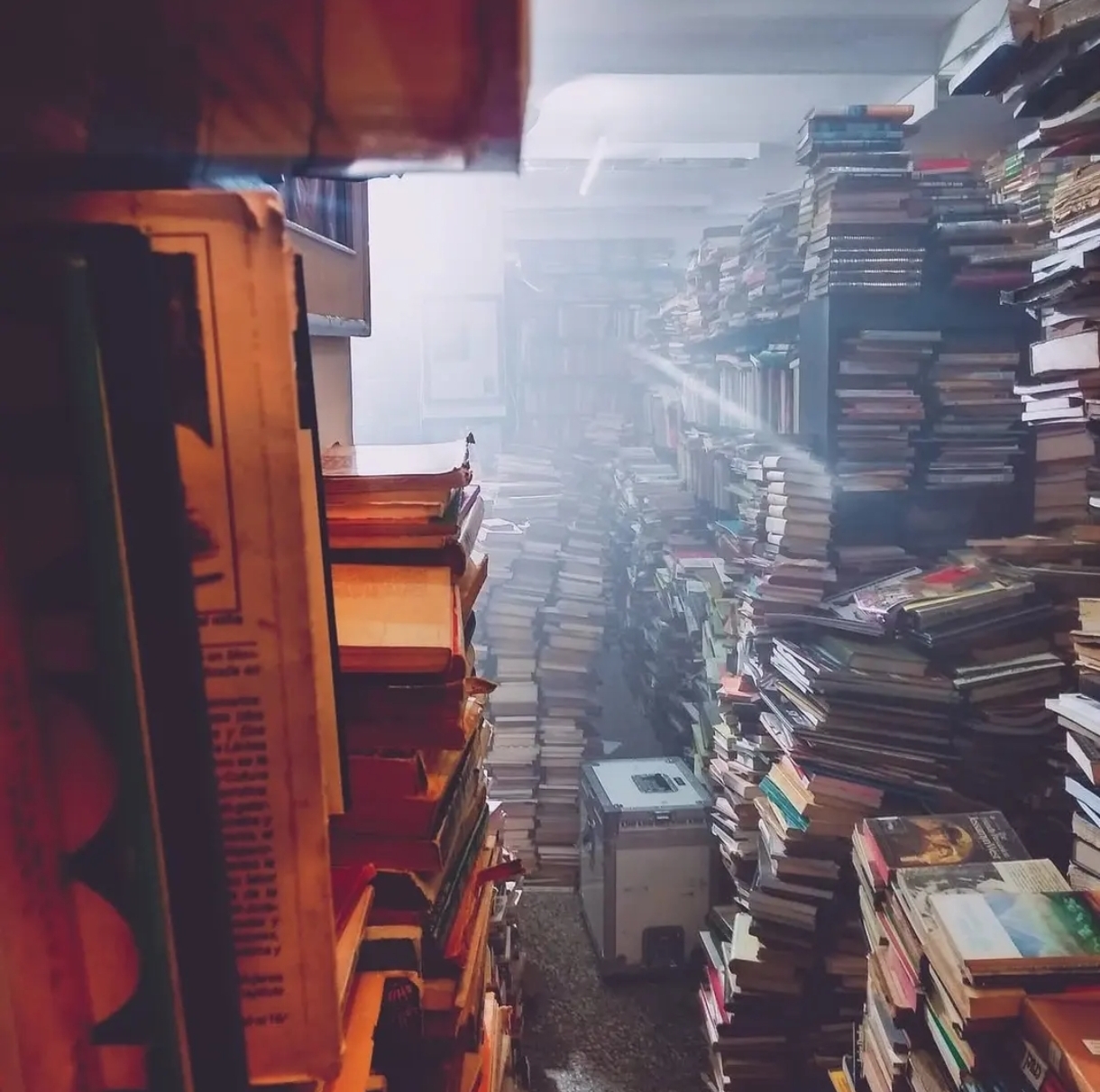 WhatsApp Image 2026-04-16 at 2.55.48 p. m.